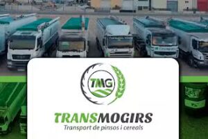 AGENCIA DE TRANSPORTES GIRIBET’S 2000