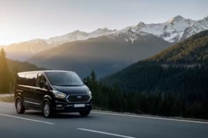 AranDrive &ndash; Taxi Valle de Ar&aacute;n