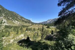 Arribada taxis Colom&egrave;rs (&euro; payant &euro;)