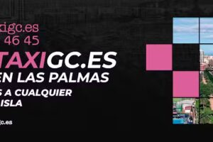 Asociación profesional teletaxi