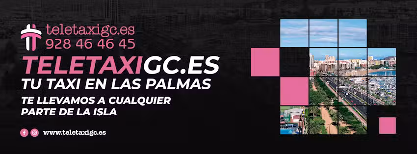 Asociaci&oacute;n profesional teletaxi