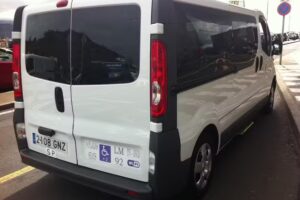 AUTO TAXI ADAPTADO(Eurotaxi) Y 9 PLAZAS