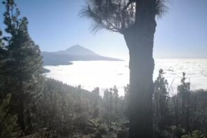 AutoTaxi 9 Plazas Puerto de la Cruz