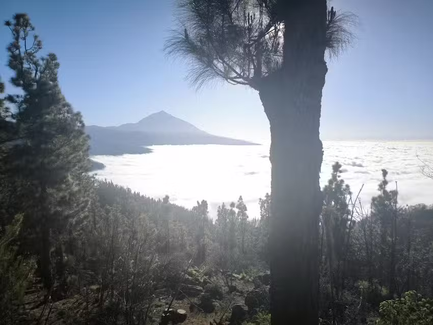 AutoTaxi 9 Plazas Puerto de la Cruz