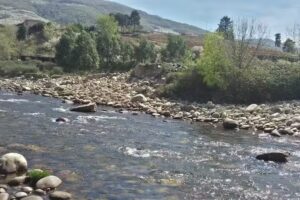 Baldomera S&aacute;nchez Castro