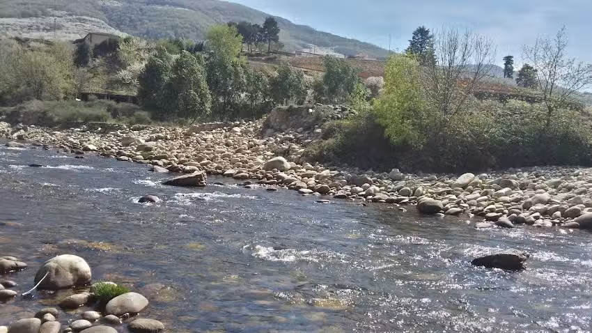 Baldomera S&aacute;nchez Castro