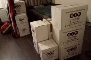 Balsa Transportes y Mudanzas