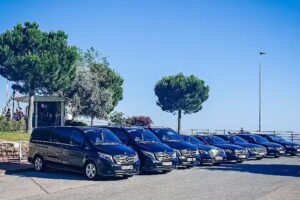 Ban&uacute;s Limousine Services, S. L.