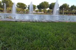 Benigno Lucendo Moreno