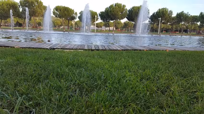 Benigno Lucendo Moreno