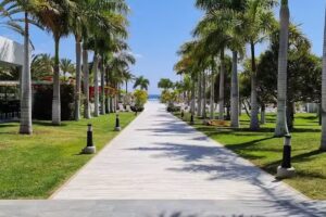 BEST Services & Management Gran Canaria