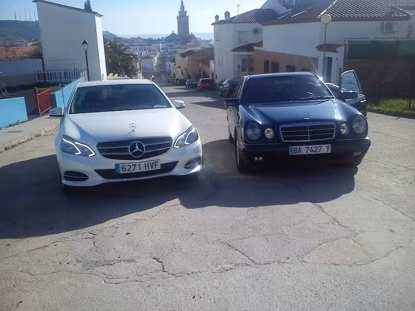 Borrachero Galv&aacute;n Francisco