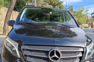 Carles Carri&oacute;