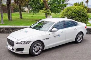 Central De Taxis San Telmo