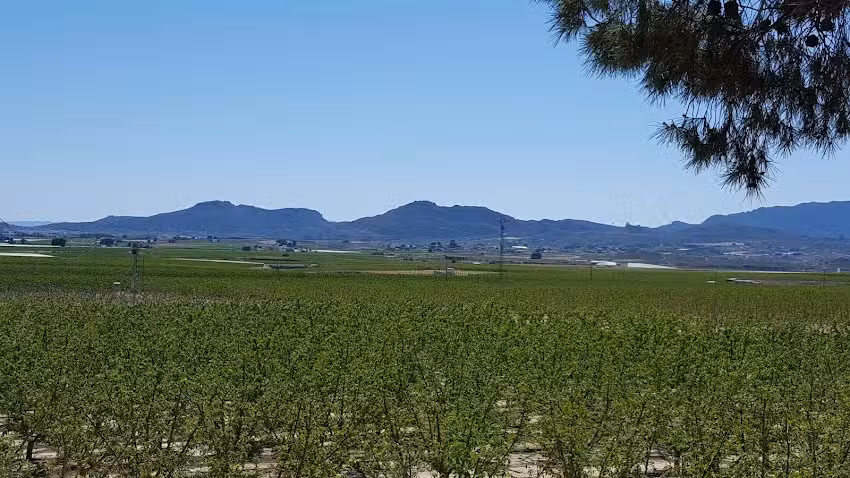 Desguace Andr&eacute;s