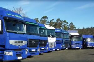 Dist-re Pi&ntilde;eiro SL