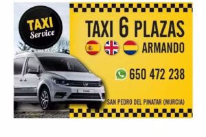easy-taxisanpedrodelpinatar.es