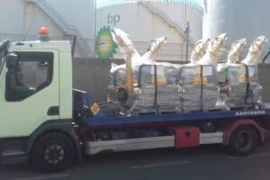 ERHARDT Ertransit – Gran Canaria