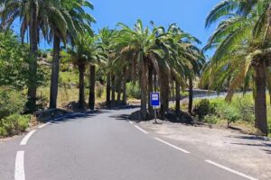 Estaci&oacute;n de Guaguas (BUS) de Las Hayas (lin&eacute;as 4+6)