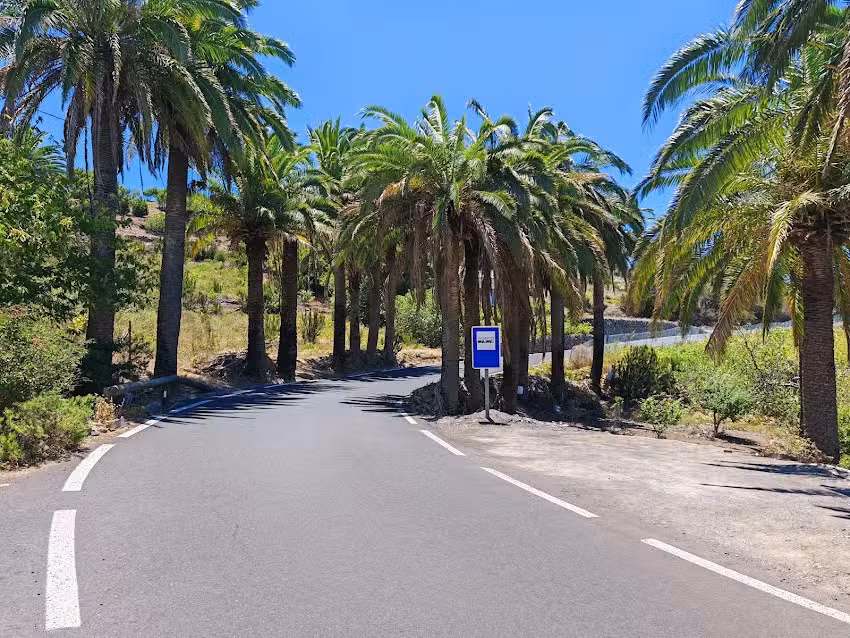 Estaci&oacute;n de Guaguas (BUS) de Las Hayas (lin&eacute;as 4+6)
