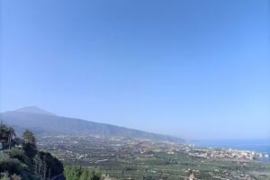 Federación Regional de Taxis de Canarias F.E.D.E.T.A.X