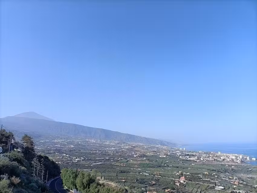 Federaci&oacute;n Regional de Taxis de Canarias F.E.D.E.T.A.X