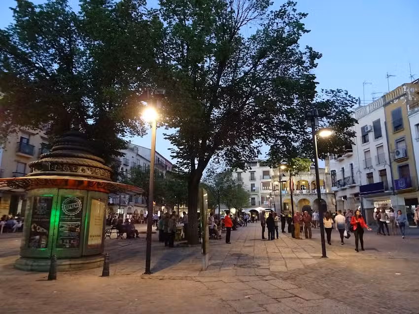 Francisco Javier Carretero Taxi 24 Horas