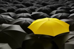 Frankexpress Mensajería y transporte urgente