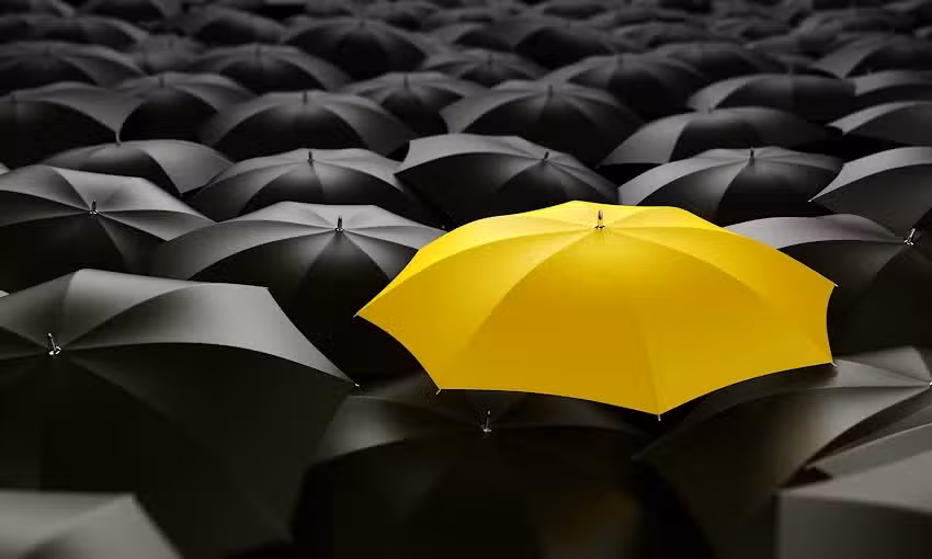 Frankexpress Mensajer&iacute;a y transporte urgente