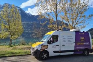 Golden Paws Pet Transport