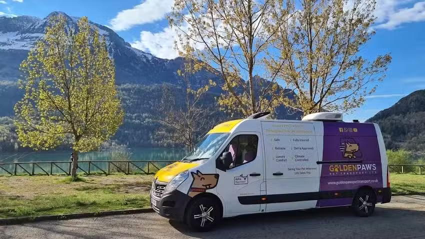 Golden Paws Pet Transport