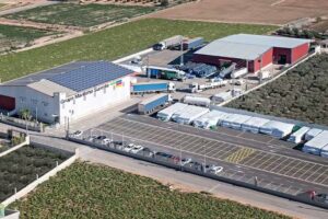 Grupo Marítima Sureste