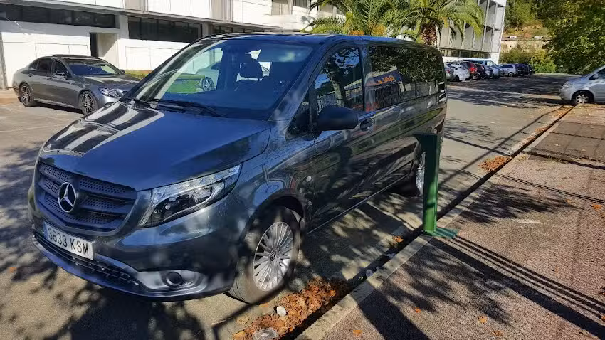 Javi taxi 8 Plazas,adaptado