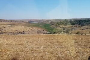 Jos&eacute; Antonio Torrej&oacute;n