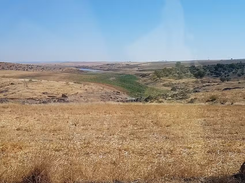 Jos&eacute; Antonio Torrej&oacute;n