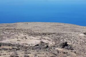 Jos&eacute; Francisco Correa Pi&ntilde;ero