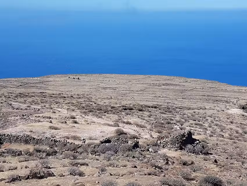 Jos&eacute; Francisco Correa Pi&ntilde;ero