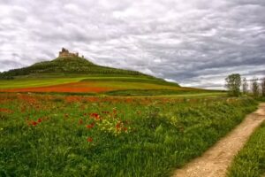 JPF taxi -Jaime Padilla- Castrojeriz, Hontanas, Hornillos del Camino