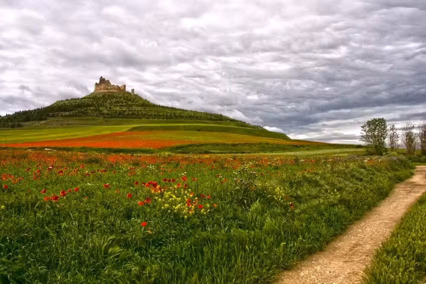 JPF taxi -Jaime Padilla- Castrojeriz, Hontanas, Hornillos del Camino