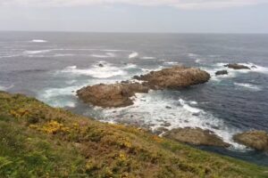 Manuel Vilari&ntilde;o S&aacute;nchez