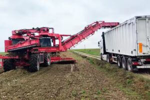 Mart&iacute;n Franco 2006 S.L.