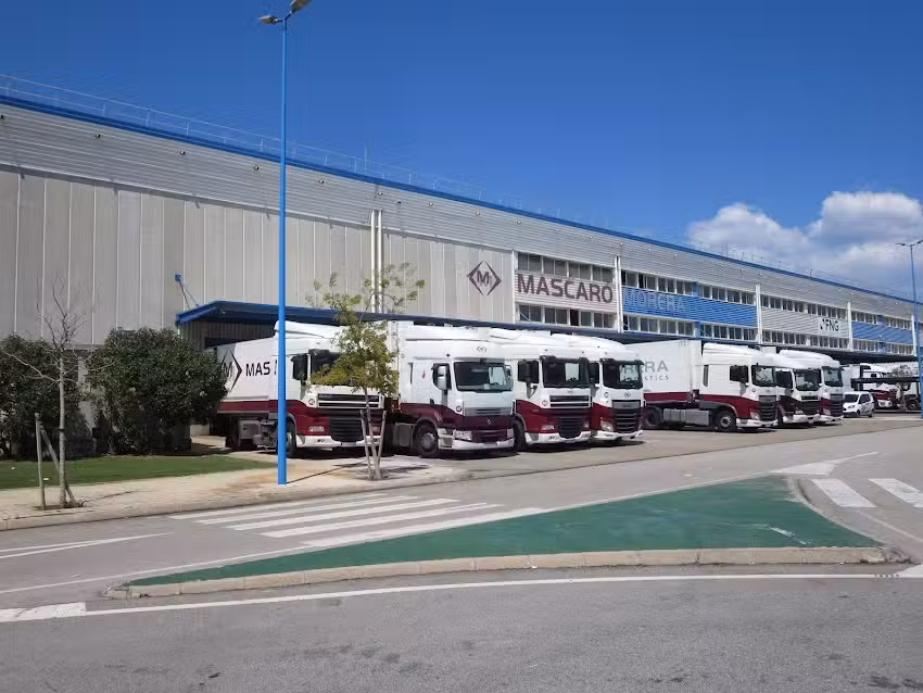 Mascar&oacute; Morera S.L.