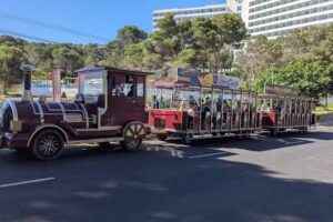 Mini Tren Station «Plaza Pinos – Centro»