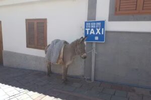Parada De Taxis De Tejeda