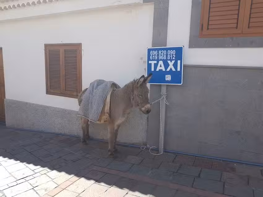 Parada De Taxis De Tejeda