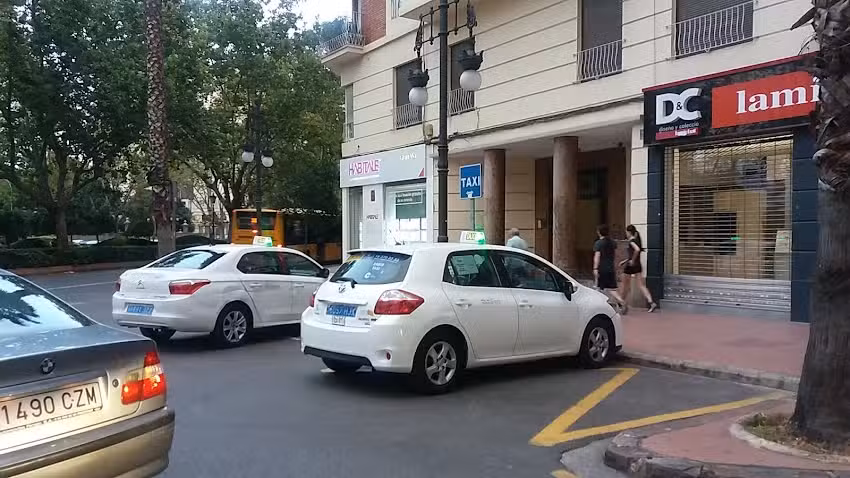 Parada de Taxis Fernando el Cat&oacute;lico