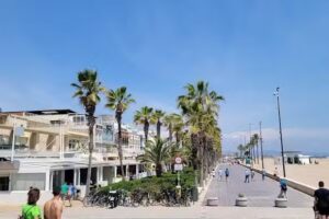 Parada de Taxis Hotel Neptuno