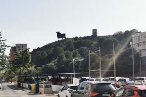 Parada de Taxis Torreblanca
