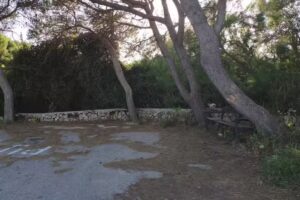 Parada de taxis y autobus