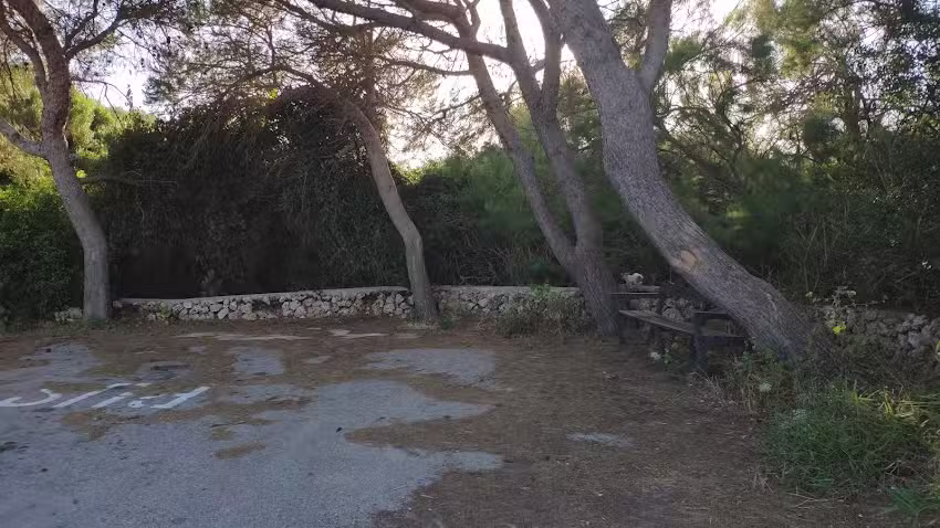 Parada de taxis y autobus